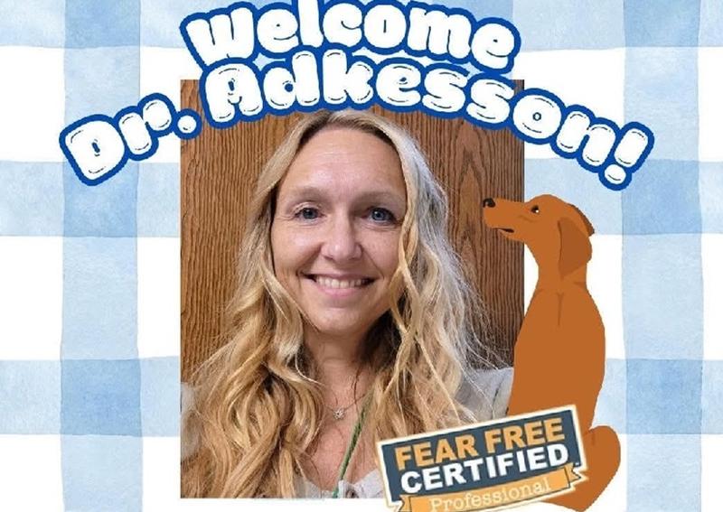 Carousel Slide 4: Please join us in welcoming Dr. Adkesson to the Western Springs team!