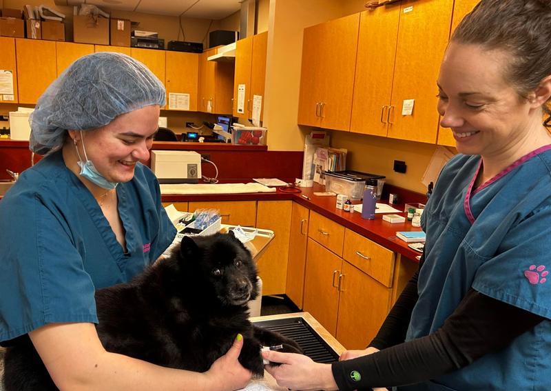 Carousel Slide 7: Emily and Amanda prepping Fancy for her dental procedure.