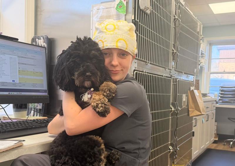 Carousel Slide 6: Ilona snuggling with dental patient, Potato.