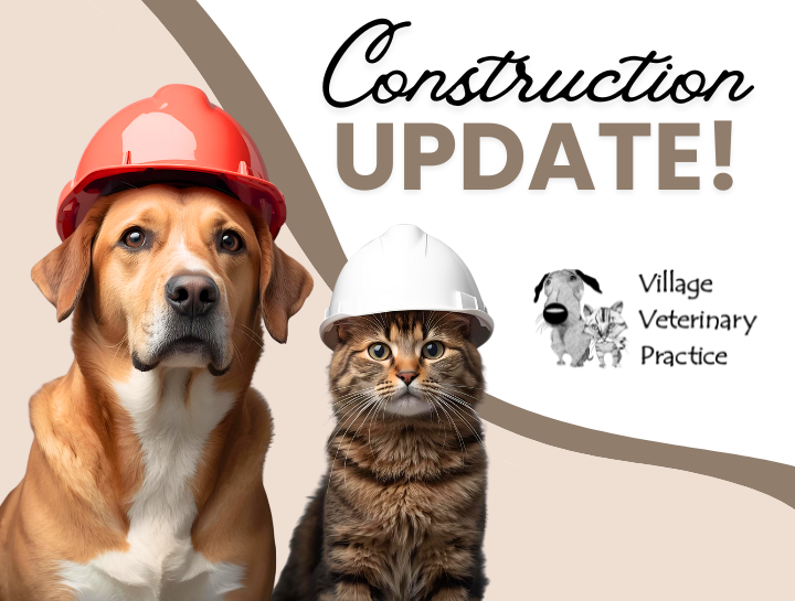 Clarendon Hills - Construction Update!