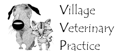 Link to Homepage of Village Veterinary Practice